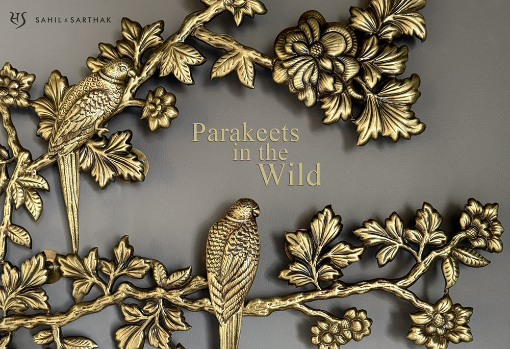 Parakeets in the Wild Detail by Sahil & Sarthak